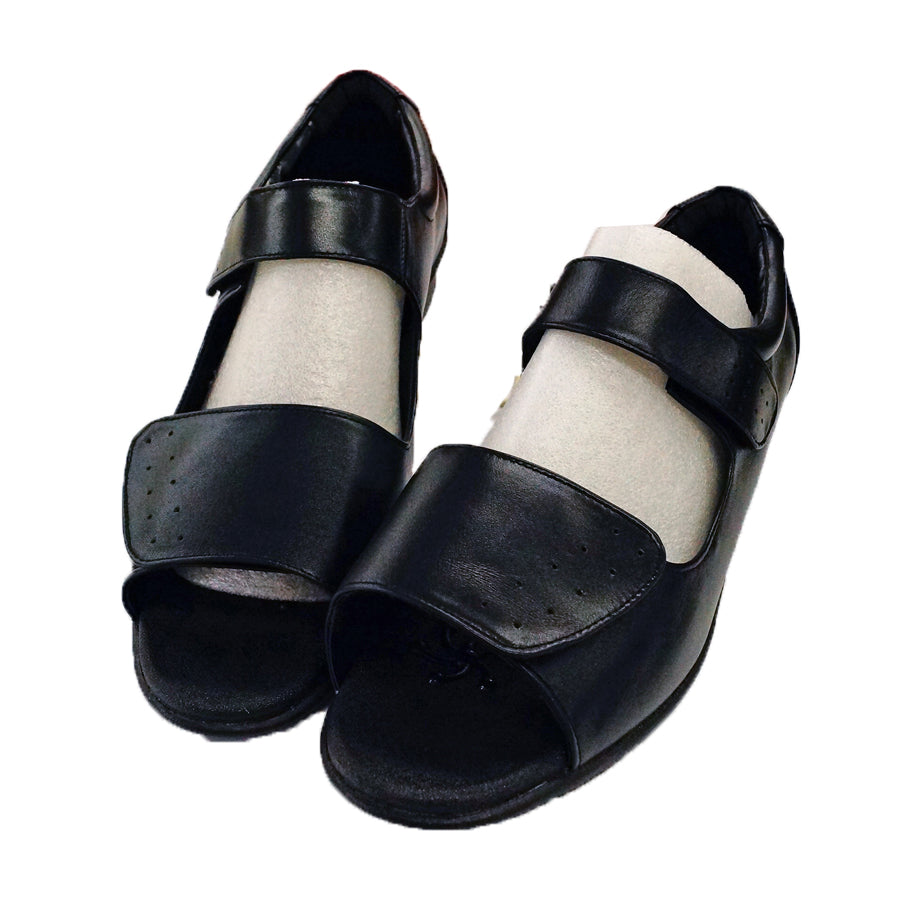 ゼウスビューティーソール